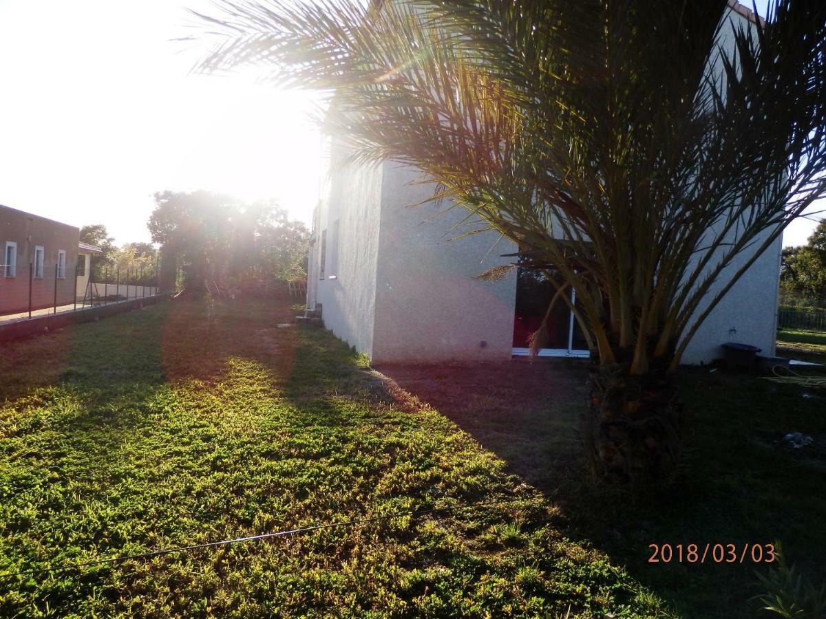 Location Vacances Linguizzetta Dış mekan fotoğraf