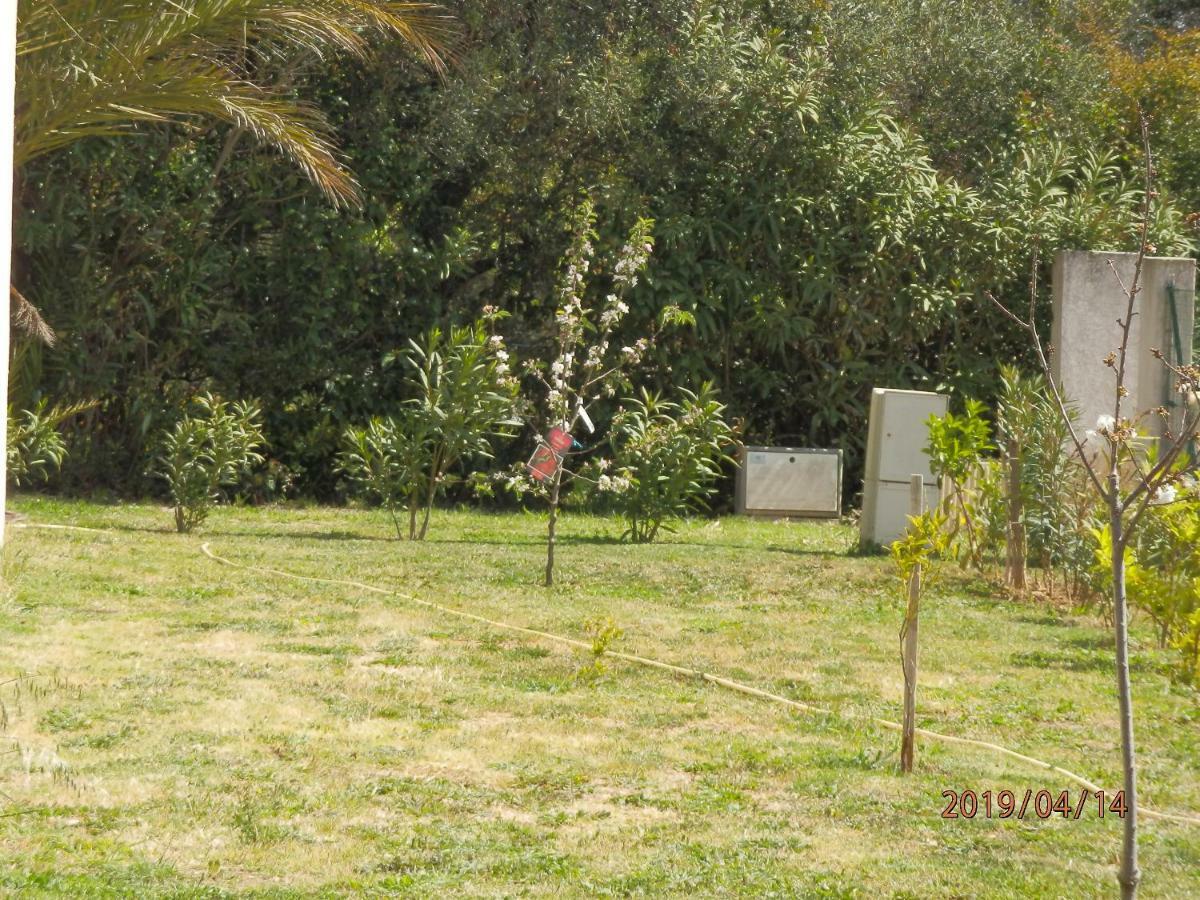 Location Vacances Linguizzetta Dış mekan fotoğraf